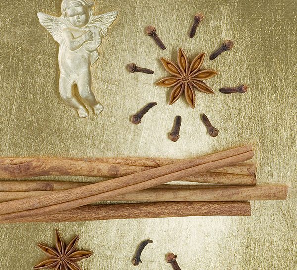 Fiori di anice stellato per Natale
