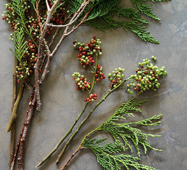 Decorazioni di Natale: rami di cedro