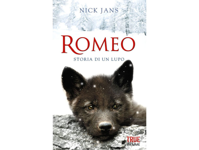 Romeo storia di un libro libro