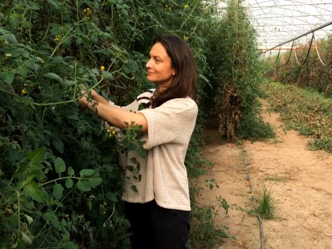 La mamma che ha rivoluzionato il fast food