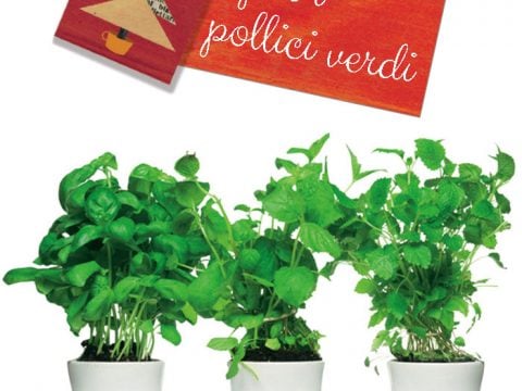 11 regali per i pollici verdi