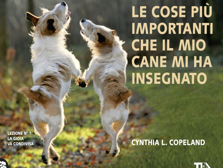 Cosa possiamo imparare dal nostro quattrozampe?