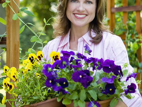 Giardinaggio d'inverno? Scegli la viola