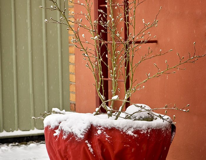 inverno senza danni