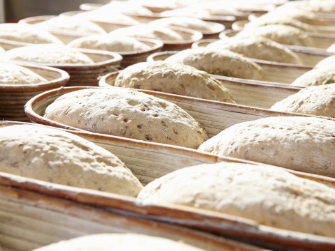 La pasta madre per celiaci