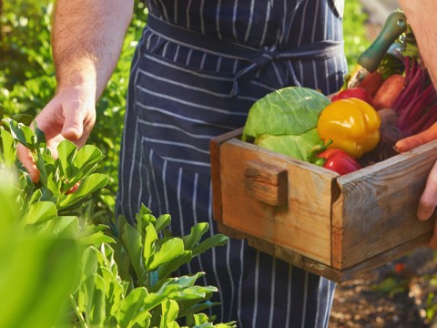 Dieta vegetariana? Scegli gli abbinamenti giusti