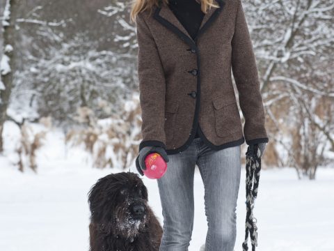 Sulla neve con il cane