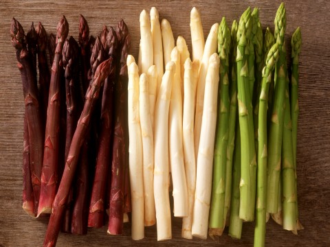 Asparagi: tipologie e usi