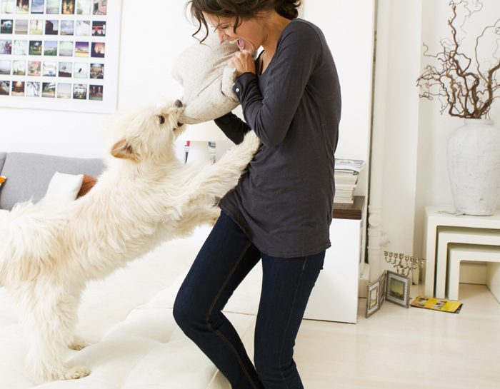 Far giocare il cane fin da cucciolo