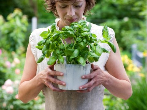 5 consigli per la cura delle piante in primavera