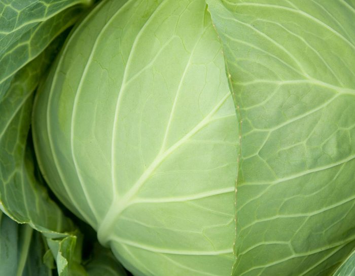 Cavolo cappuccio, integratore vitaminico