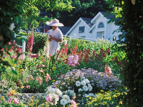 Come creare un giardino (bio)diverso