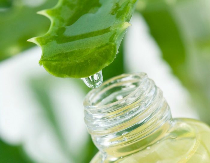 Aloe: la pianta dai mille benefici - Donna Moderna
