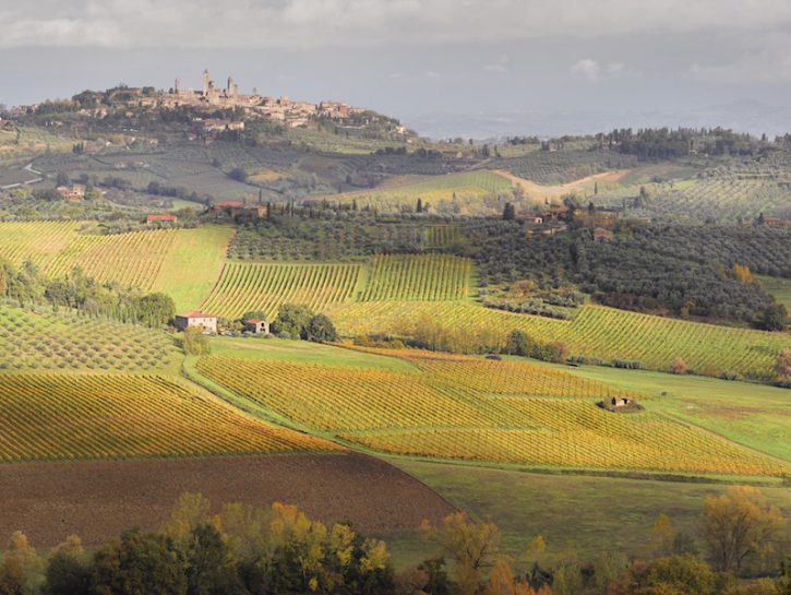 Enogastronomico in Toscana