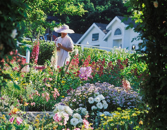 Un giardino biodiverso