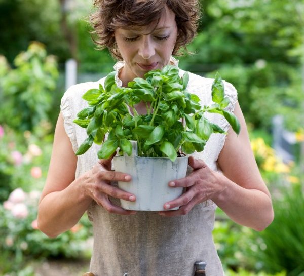 Bella stagione: cosa fare in giardino