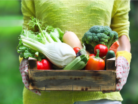 Primavera: le 10 verdure di stagione da mettere in tavola