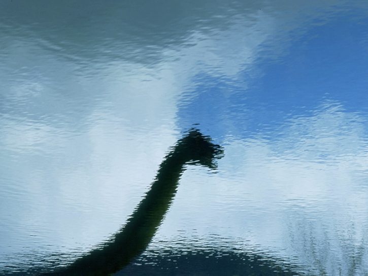 La morte di Nessie