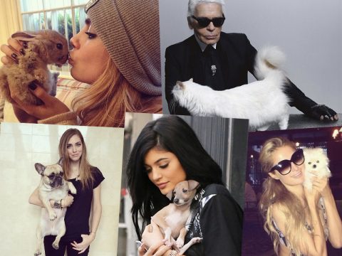 Gli animali dei vip