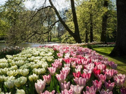 I giardini più belli del mondo, da visitare almeno una volta