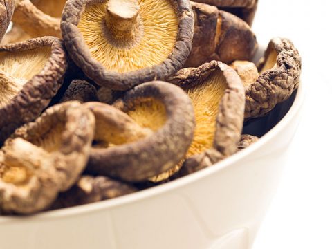 Mai pensato di curarti con i funghi?