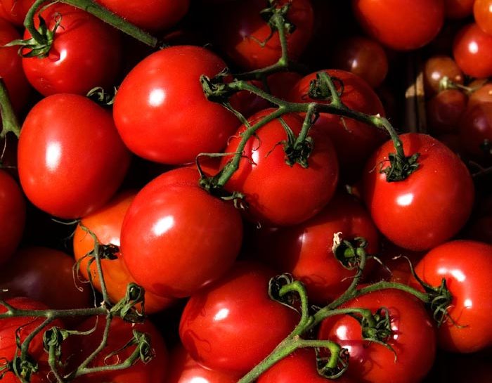 Pomodoro per l'elasticità della pelle