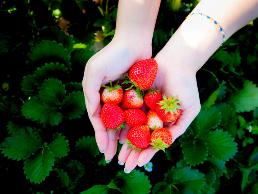 frutta primaverile