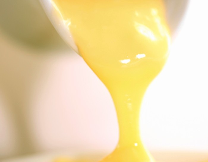 Crema allo zenzero: facile e buona