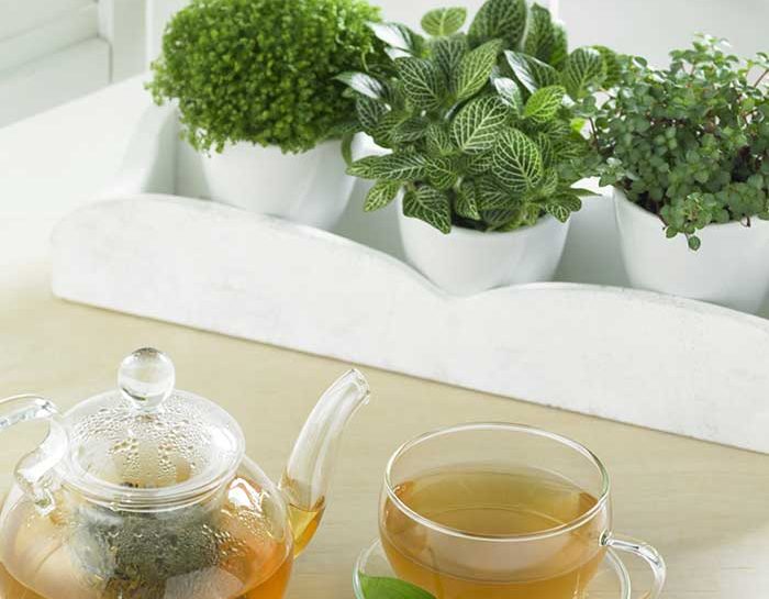 5 erbe medicinali per il balcone