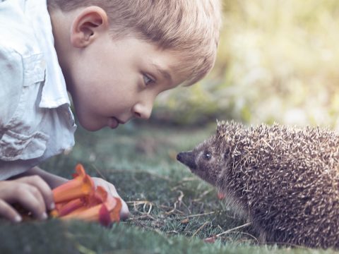 Come imparare a stimolare la curiosità