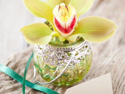 Come decorare la tavola con le orchidee