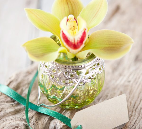 Come decorare la tavola con le orchidee