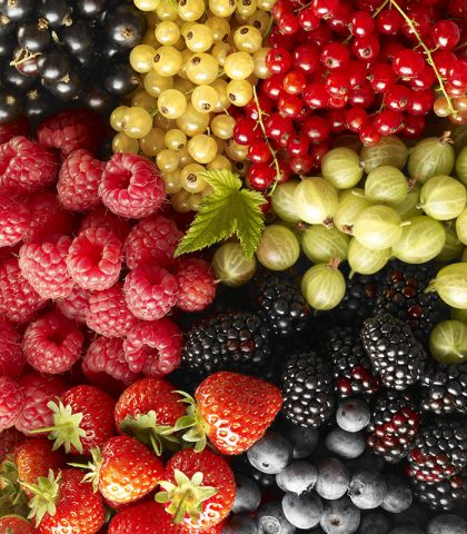 I mirtilli sono tra i frutti più ricchi di antociani, che proteggono le pareti dei piccoli vasi sa