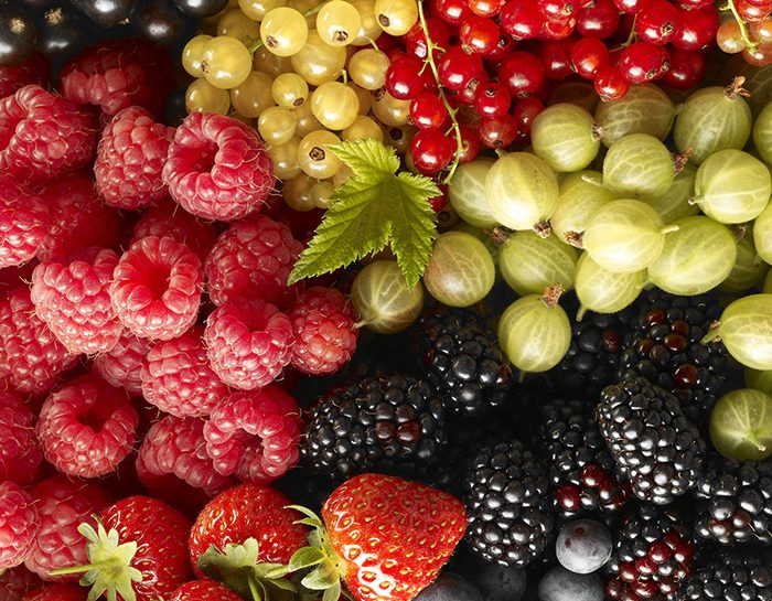 I mirtilli sono tra i frutti più ricchi di antociani, che proteggono le pareti dei piccoli vasi sa