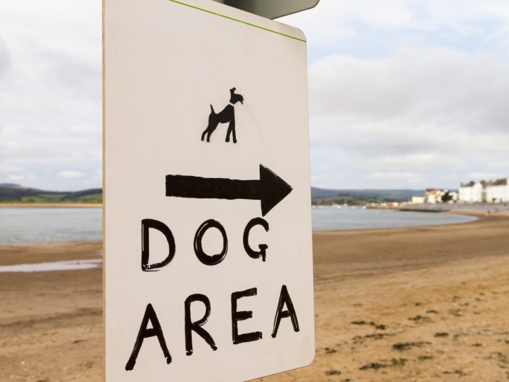 Spiagge dog friendly