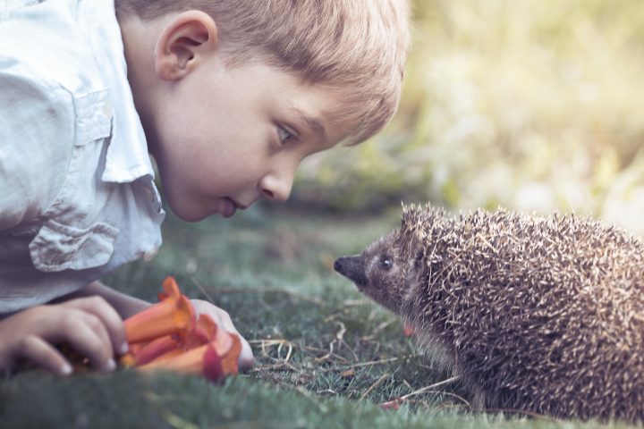 VIVERE CON PASSIONE La curiosità è il motore dell'evoluzione. Stimolare un bambino a nutrire un at