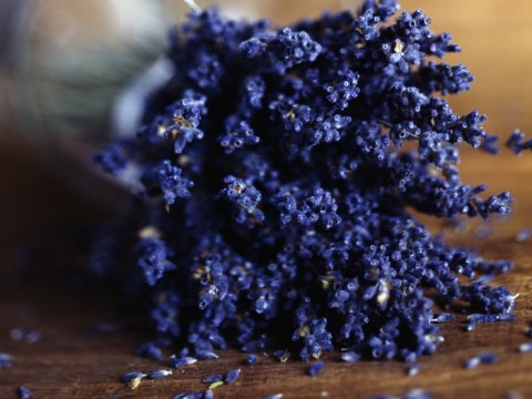 Cocktail alla lavanda: facile e originale