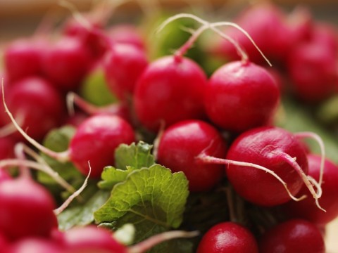 Insalata di ravanelli e arance: ricetta e proprietà