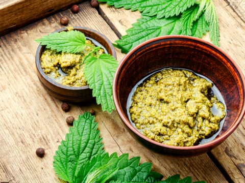 Come fare il pesto di ortiche