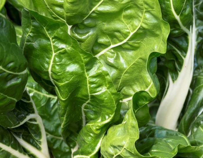 Sformato di bietole vegano