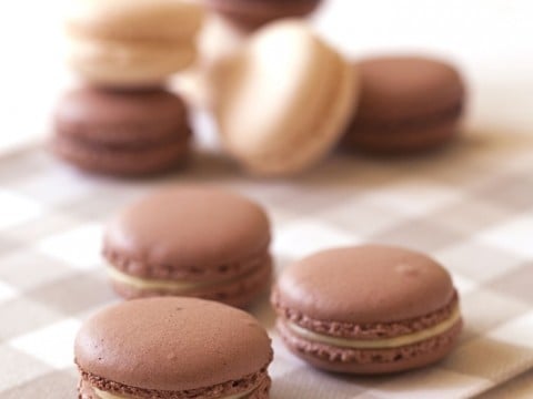 Macarons vegan: che passione