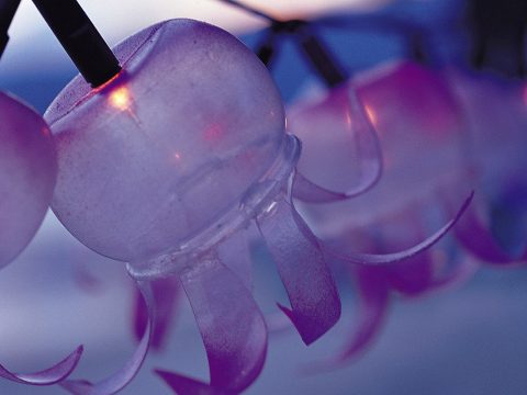 Come fare lanterne dalle bottiglie di plastica