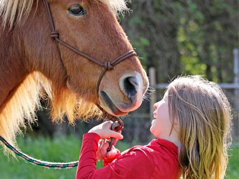 Equitazione: vincere la timidezza e rinforzare l'autostima