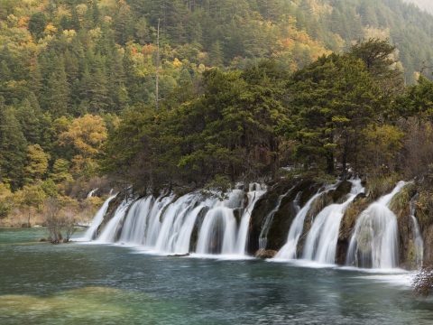 Le foreste più belle, grandi e particolari del mondo