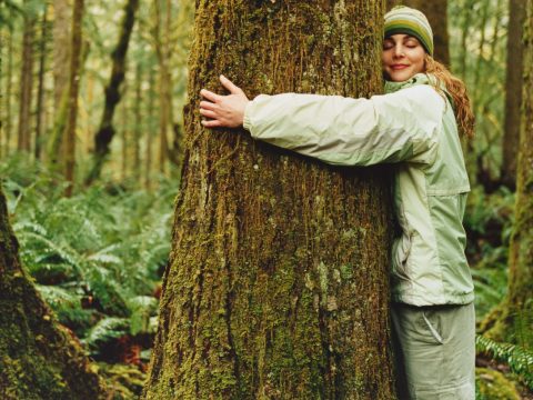 10 buoni motivi per piantare più alberi (soprattutto in città)