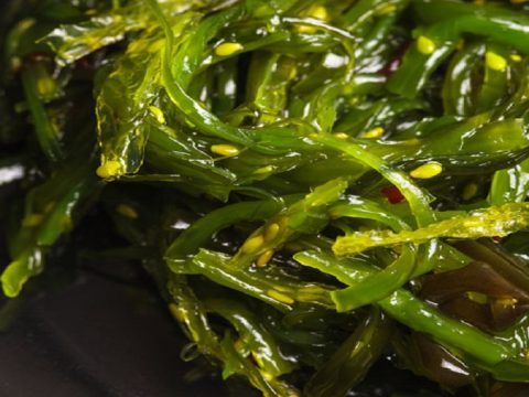 Accelerare il metabolismo con l'alga spirulina