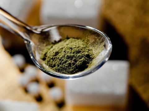 La stevia è il dolcificante con zero calorie: come usarla al posto dello zucchero