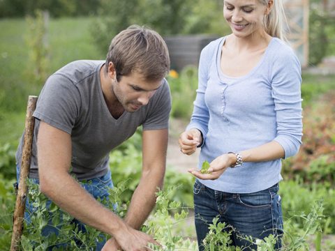 Il boom degli orti urbani e della piccola agricoltura