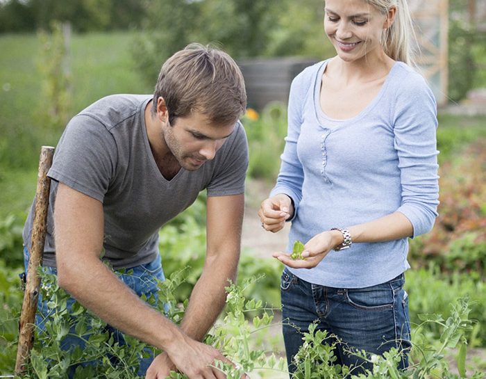 Il boom degli orti urbani e della piccola agricoltura
