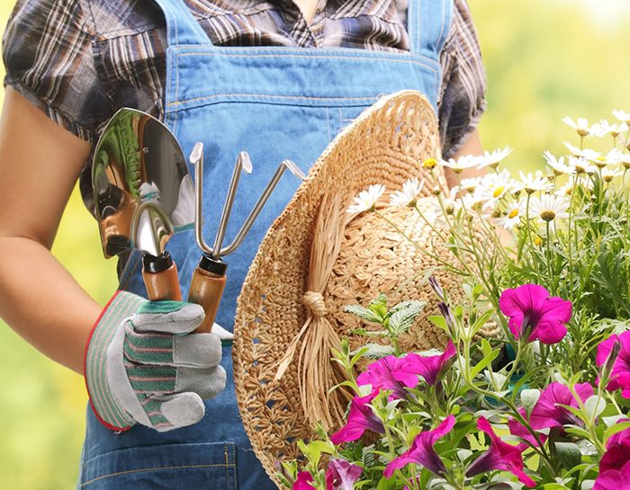 Le unioni perfette di piante e fiori